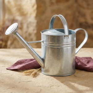 Galvanized Steel Watering Can, 2 Gallon