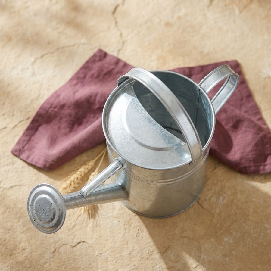 Galvanized Steel Watering Can, 2 Gallon