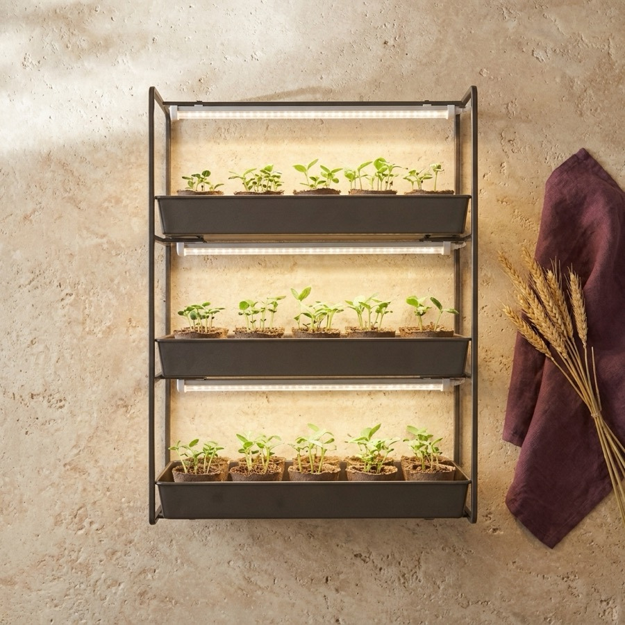 Deluxe Tabletop Grow-Light Seed Station